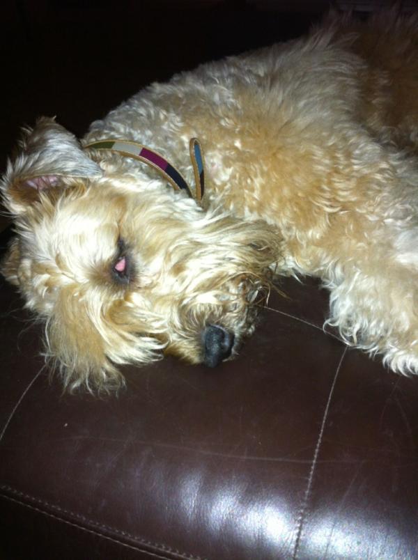 Twheatens's tweet photo. @EmmaTGow XXOOO we do! http://t.co/dhFHZy7j