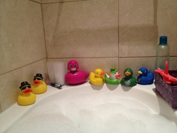 Mazzaleeds's tweet image. Is there a point when a grown woman has enough ducks? #duckoff