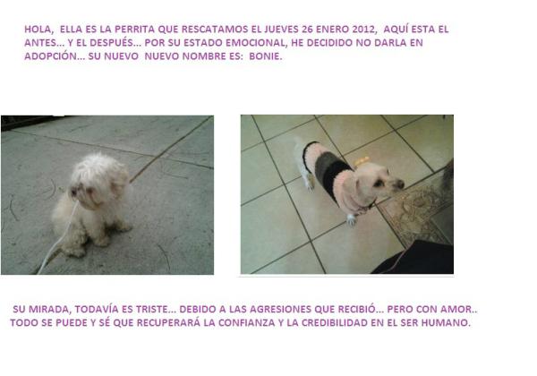 psiempreamigos's tweet photo. HOLA,  ELLA ES BONIE,  GRACIAS A LAS PERSONAS QUE ME APOYARON... ME LA VOY A QUEDAR!!! http://t.co/IlfBkaAp
