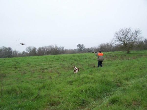MontereyBayBrit's tweet photo. @pheasants4ever Hunting Ringnecks in the Central Valley @rpowellmbay @MontereyBayBrit http://t.co/AbkEYP48