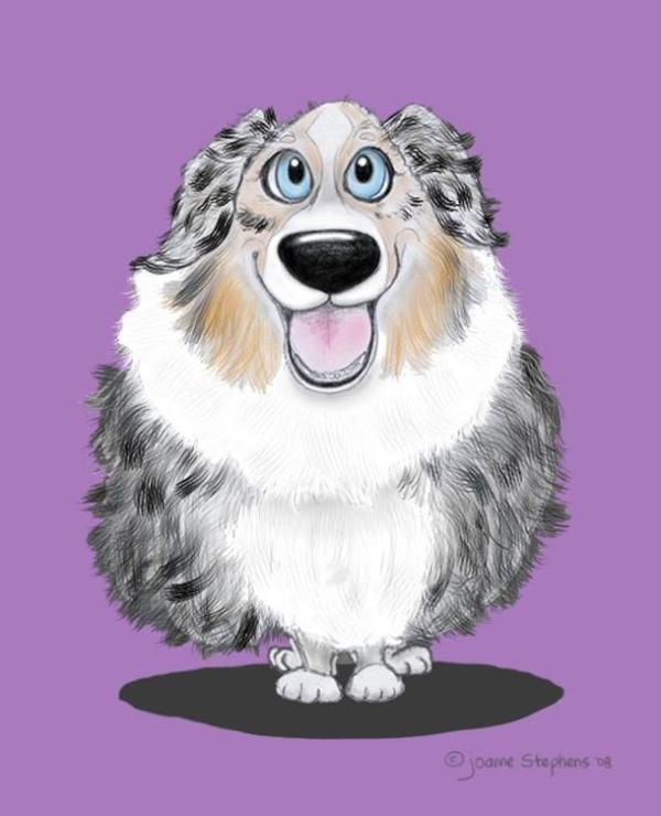 beachpony's tweet photo. This is a portrait I did of my dog Bonnie,   Australian Shepherd http://t.co/ViquoXoj