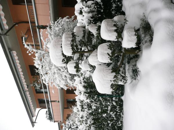 maxzanardi's tweet photo. Neve a Cernusco. Che figata!!!!!!!!!! http://t.co/UMzdPMx3