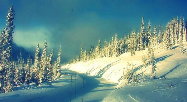 Copprcrkrest's tweet photo. The road to Paradise..... http://t.co/O9gCAwFe