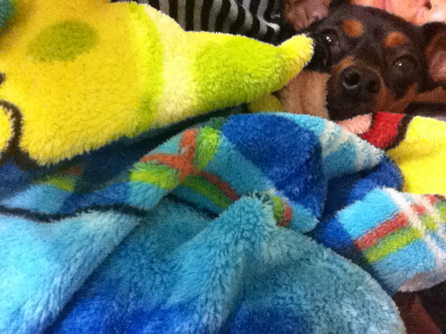 litto bear http://t.co/oAtBld2s