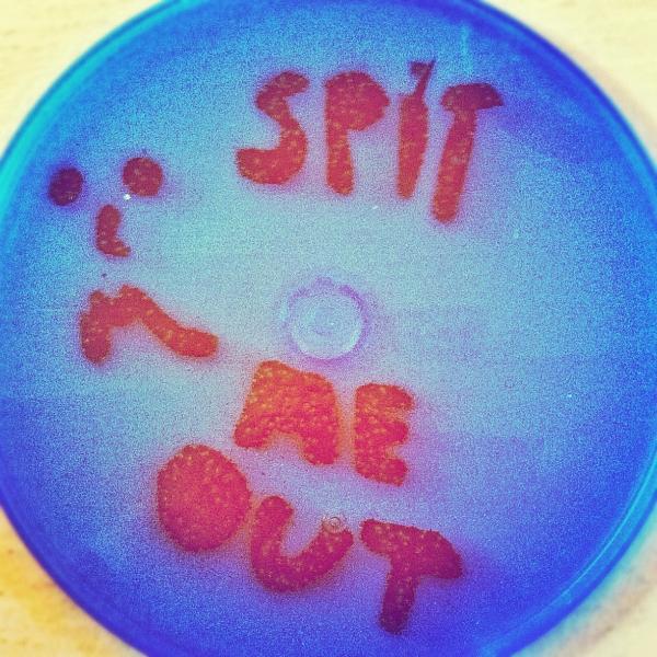 TheMouthTweets's tweet photo. 3 NEW SONGS!!
FREE DOWNLOAD!

http://t.co/1Y8dLHlV http://t.co/xRflwlML