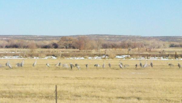 springriver64 tweet picture