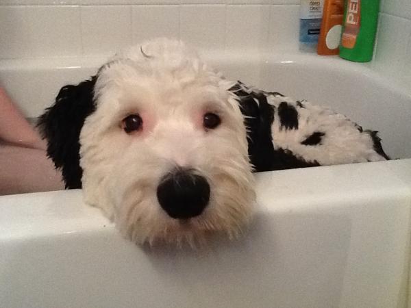 I'm in da tub gettin a bath!!!!