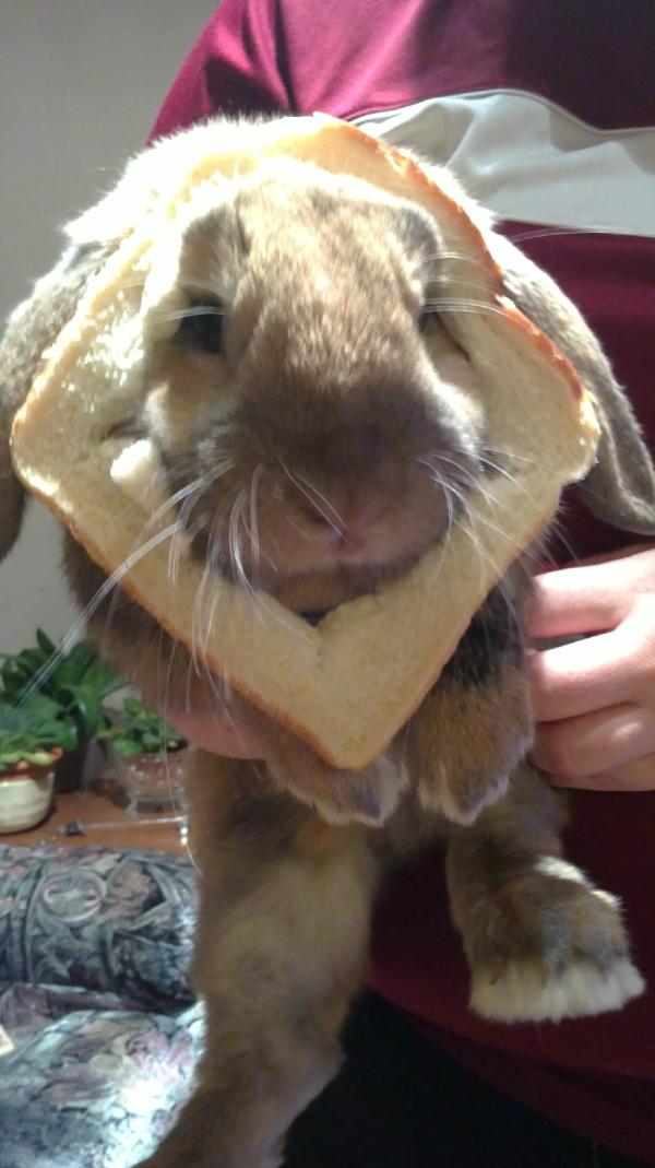 Gabrielle Parent tweet media