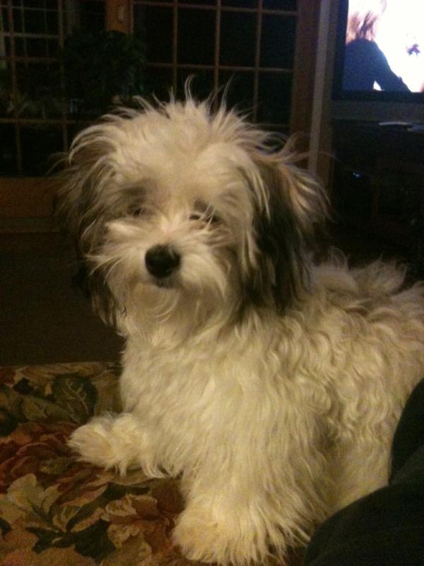 jrpatte's tweet photo. Hank! http://t.co/wcPBIWhV