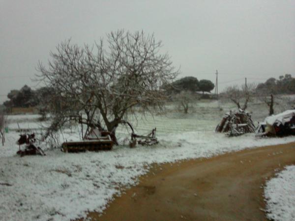 PatchTemptation's tweet image. Asi nos hemos levantado! Y sigue nevando #324fredineu