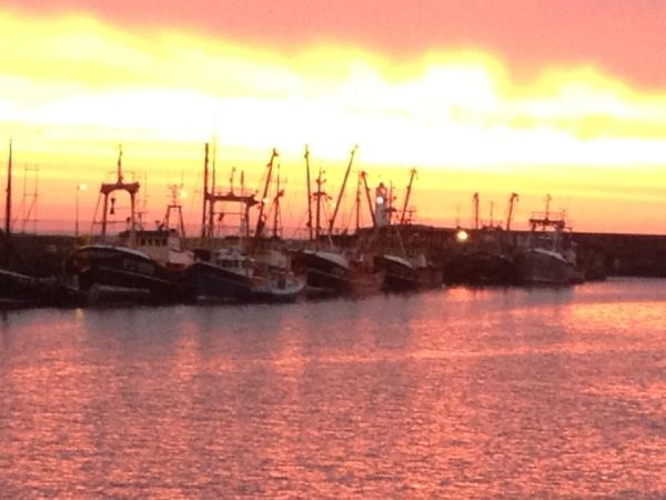 fudgey2247's tweet photo. W.STEVENSON&SONS http://t.co/afIFFSyE