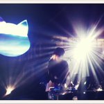 Photo by Alexis MAGAND (@AlexisMAGAND)