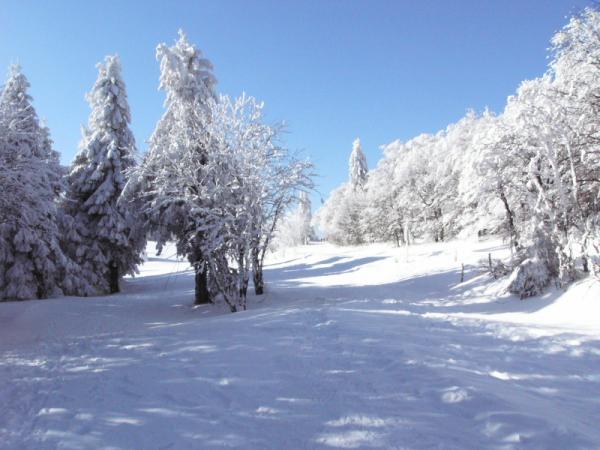 valleemunster's tweet image. Temps idéal pour aller skier, ou faire de la raquette ! Les stations de la Vallée de Munster vous attendent !
