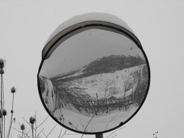 Cinzia Barbieri (@cinziabarbieri) on Twitter photo 