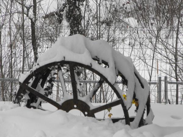 Cinzia Barbieri (@cinziabarbieri) on Twitter photo 