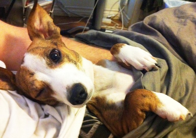 This is my Lilly Monster. Roar http://t.co/GnYz2zrW<a href="/tag/ces2012"class="tags"><span>#ces2012</span></a>