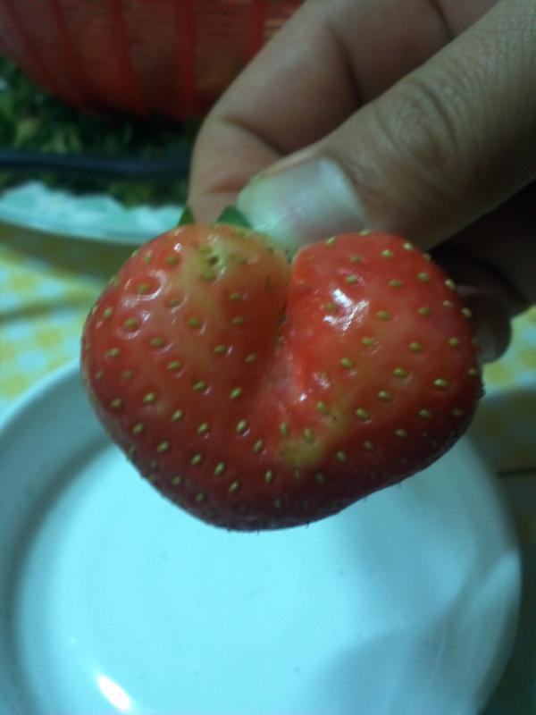cha03011's tweet photo. http://t.co/RIGxUJJS