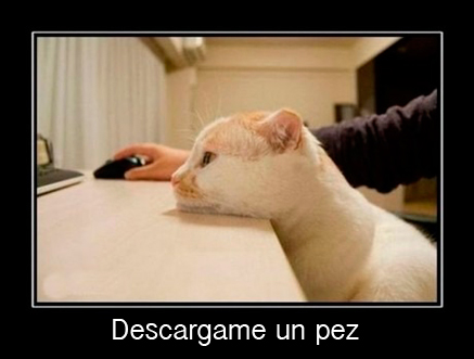 a_bague's tweet photo. Descargame un pez http://t.co/X1QEf7uc