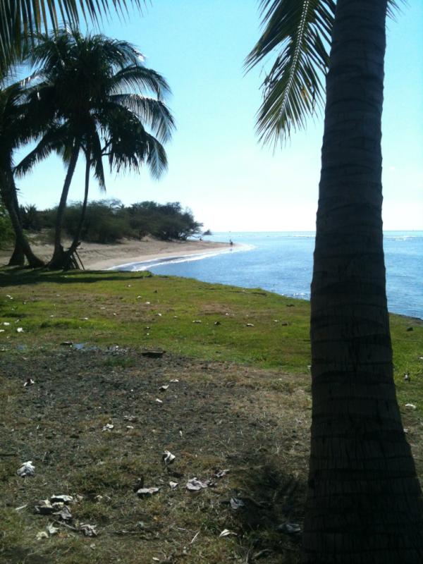 Maui Video Tours tweet media