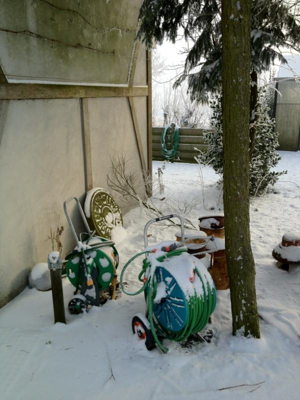 RvGeel's tweet photo. Sommige mensen leren het nooit... Weer te laat binnengehaald ;-) Kerstfoto 2012 is in ieder geval al gemaakt http://t.co/5eoSn575