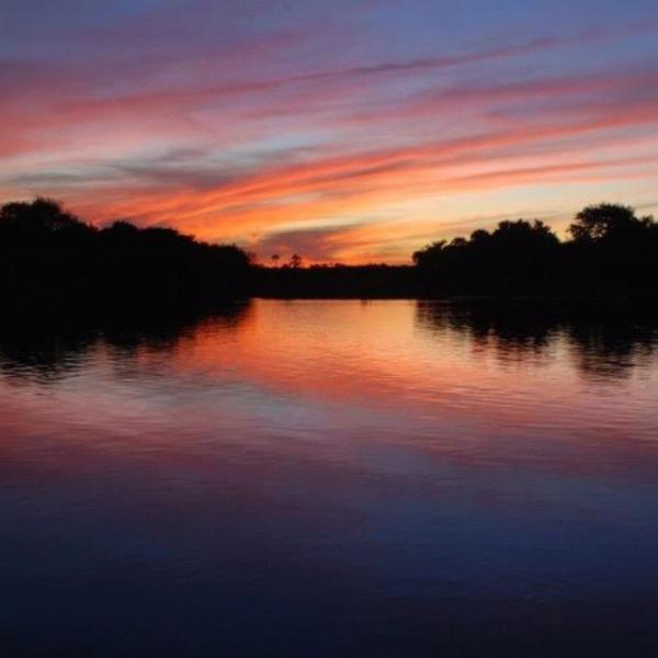 gillian__leigh's tweet image. Welcome to the Sunshine State. #febbreak