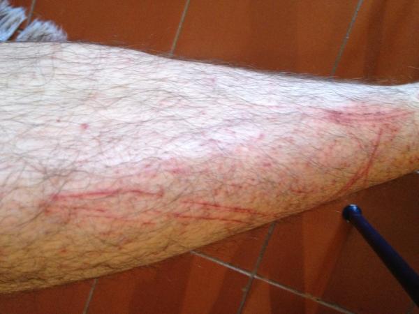 ivarlundanes's tweet image. Stikkebusker, stikkebusker, au au au! #ModelEvent #POM2012 #UnngåOmråderMedGrønneStriper