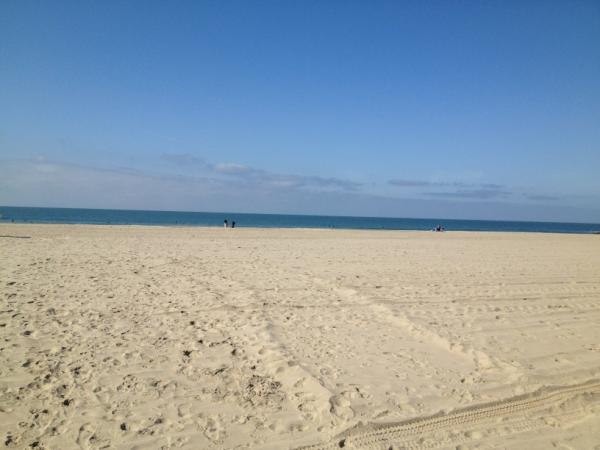 StewFN's tweet image. @AmyKB3 introducing the west coast to GFCs today