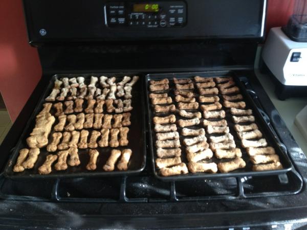 roderickjay's tweet photo. #dogcookies finished for my 2 #bostonterrier and 2 #goldenretriever http://t.co/s5ifTgHd