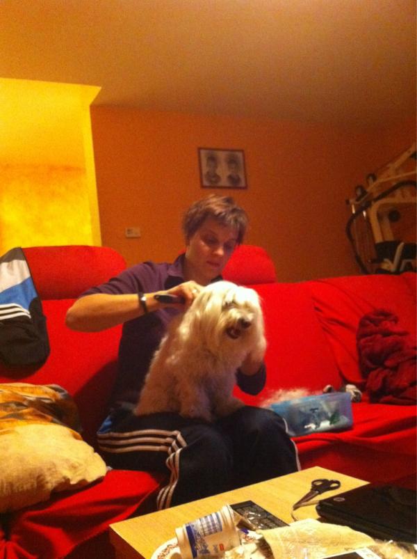 bilancom's tweet photo. @DARJAOSLAK 
t http://t.co/dlFicWgQ