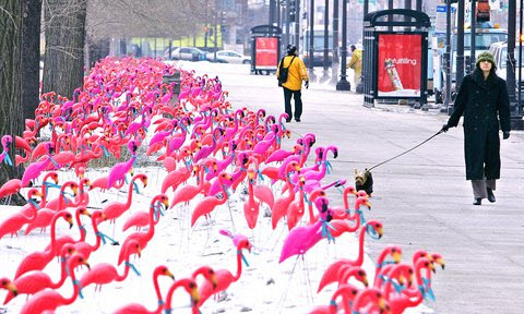 TrubatesMN's tweet photo. How awesome would it be to wake up to a yard full of pink flamingos or red hearts?? http://t.co/EGBSTnSc http://t.co/ujV7eqER