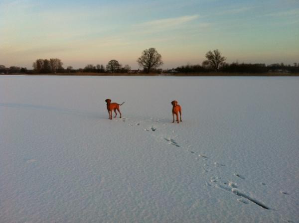 Reyke's tweet photo. Völlig allein .. http://t.co/SxVv85u2