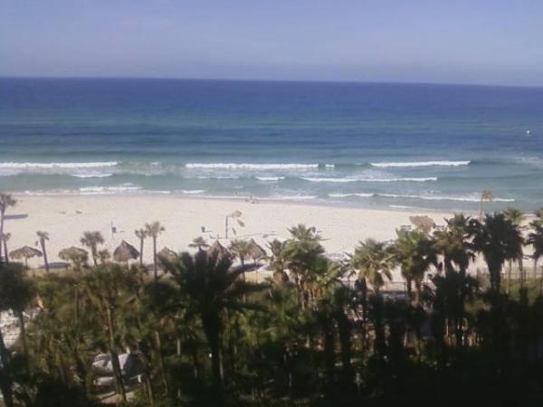 ShayElliott3's tweet image. I miss it SO FREAKING MUCH!!! #SpringBreak2011 #PCB