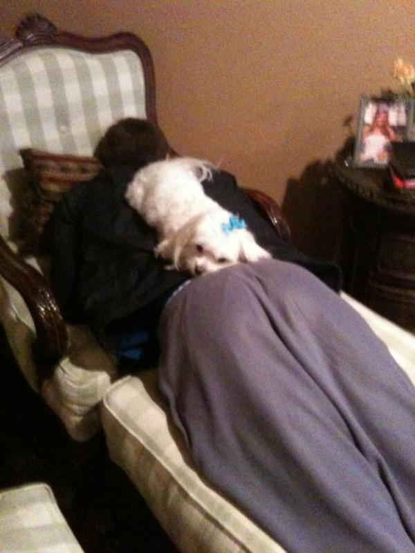 faytown's tweet photo. Lola lives Kile!!! http://t.co/jSO52zsL