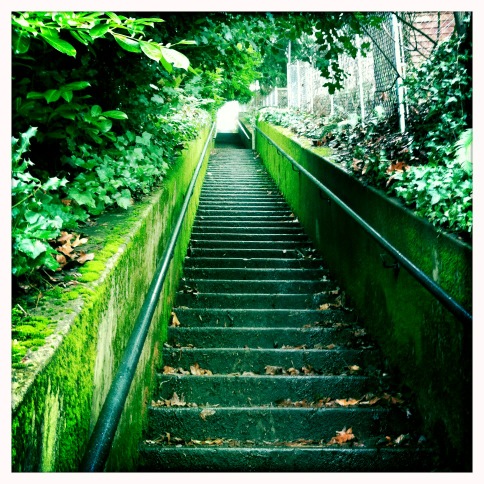 golois's tweet photo. Today's #dayinthelife photo.  Ski day morphed into stair climb hike day due to rain. http://t.co/86UPRz1l