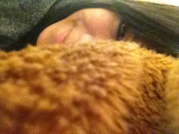 mollymartirez's tweet image. #goodnight #fuzzyblanket ☺