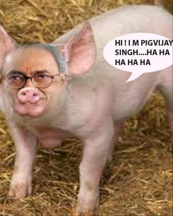 iDilipsoni's tweet image. @Swamy_Army pigvijay #castingfail