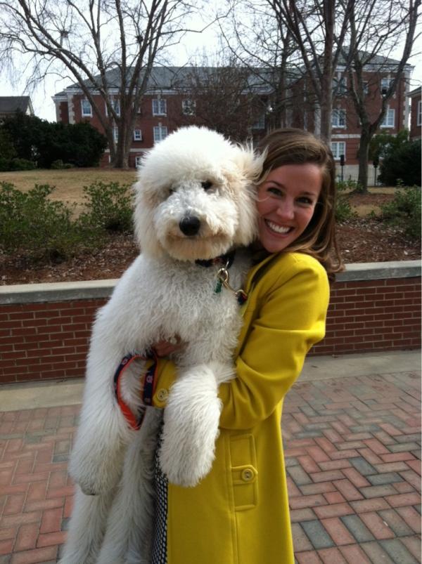 Kak4MissAuburn's tweet photo. Katherine's puppy came all the way from home to support her this week!! #RECYCLE #savethepuppies #MissAuburn http://t.co/Tf9Fravs