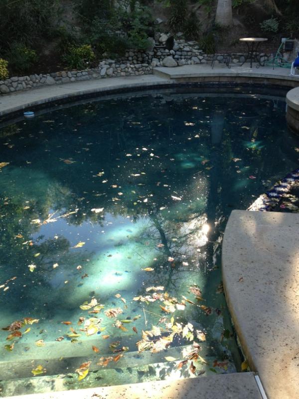 Ponce Pools (@PoncePools) / Posts / X