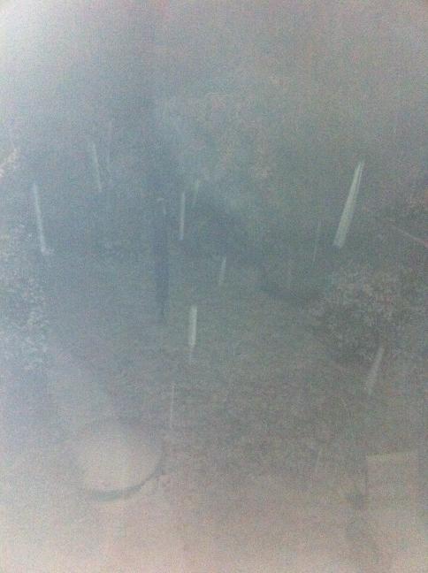 sfdo's tweet image. Snow in sway, first snow of the winter! Beautiful sights! Hopefully it will still be there for a boarding weekend!!