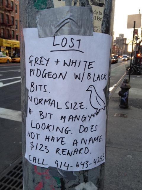 memcatala's tweet image. Never know what you'll see on the streets of NYC... @eealston found a gem!