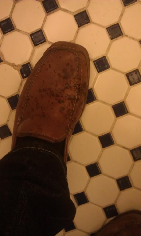 StinkyBholeBros's tweet image. Great start to the day!!  #hangoverfridays #weakstream