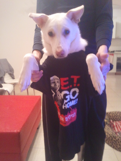 katipiasecki's tweet photo. גם קומבו לא רוצה טביב בהפועל!!! http://t.co/e431XB7i