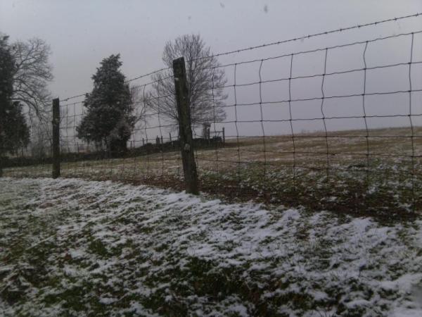 KayJGroves's tweet photo. I've decided that packing can wait. My couch and a book are calling my name. This weather isn't helping my motivation. http://t.co/8TvPAfEd
