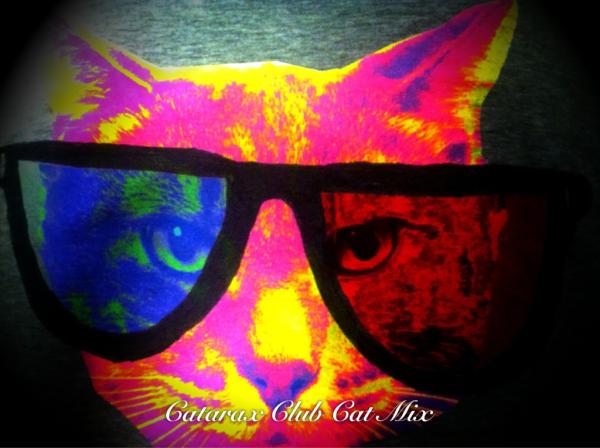 Catarax's tweet photo. CLUB CAT MIX http://t.co/9UQTRWKJ