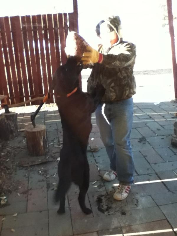 getzel15's tweet photo. Scout http://t.co/pROvLHoT