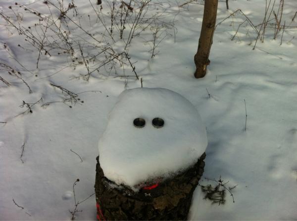 Pálinkás tuskó #fb @