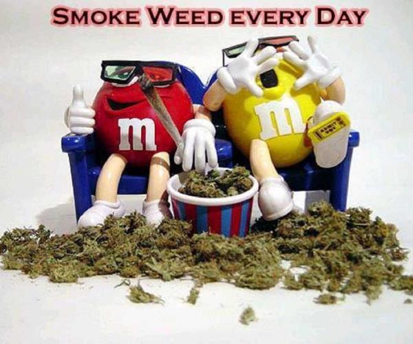 armandomacias3's tweet photo. I am so baked http://t.co/Aa9Ig4F0