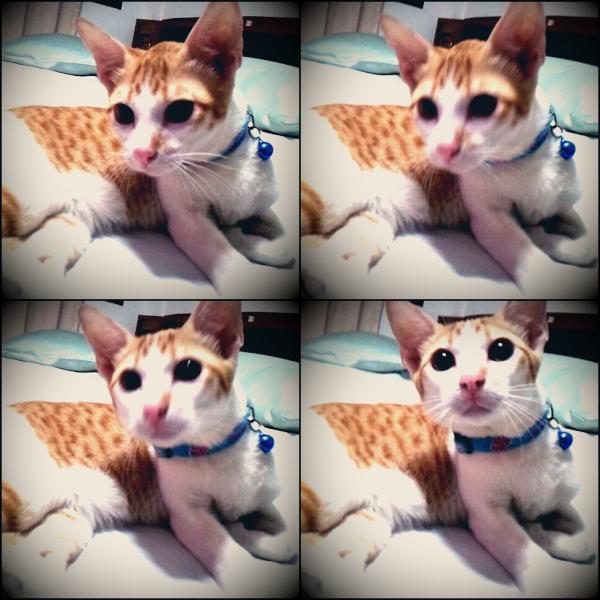 Littleminn's tweet photo. #actionsnap การ์ฟิว~~~ http://t.co/af6Usu1G