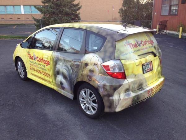 34Wraps's tweet photo. Puppy love. http://t.co/jakgOcaF
