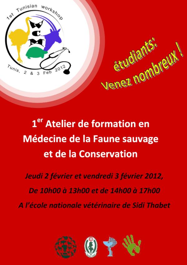 MariePetretto's tweet photo. Feb 2-3, 1st Tunisian Workshop on Wildlife & Conservation Medicine at the ENMV thanks to the DGF, Marwell & HSI: THANKS http://t.co/nozGwSi5